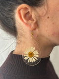 Meadow Daisy - Large