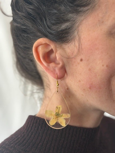 Golden Buttercup - Medium