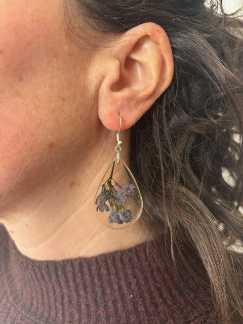 Wild Bluebell - Medium